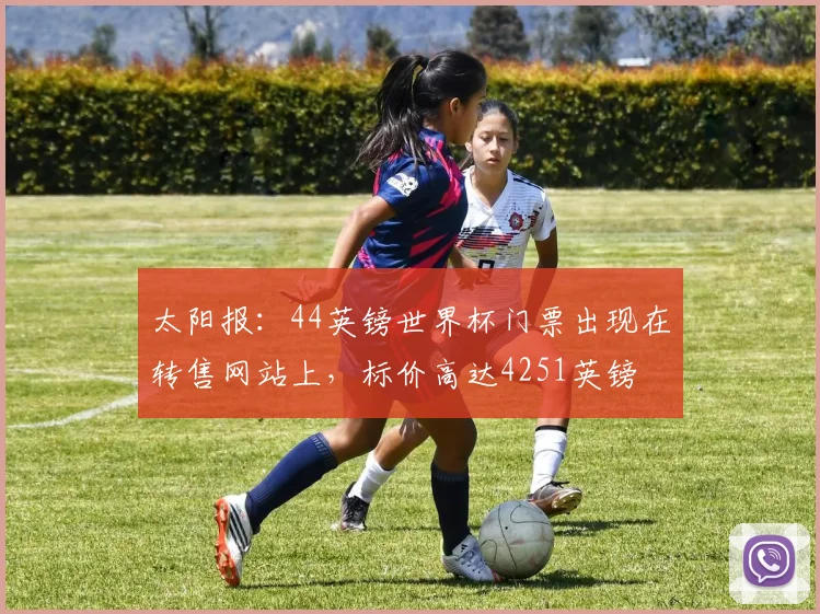 太阳报：44英镑世界杯门票出现在转售网站上，标价高达4251英镑